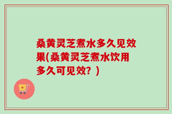桑黄灵芝煮水多久见效果(桑黄灵芝煮水饮用多久可见效？)