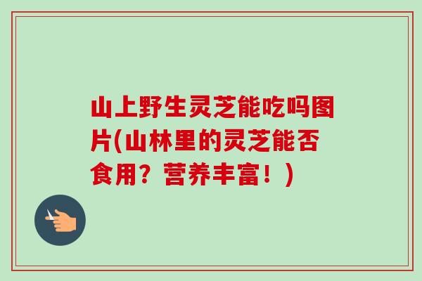 山上野生灵芝能吃吗图片(山林里的灵芝能否食用?营养丰富!) 山上野生灵芝能吃吗图片(山林里的灵芝能否食用?营养丰富!)