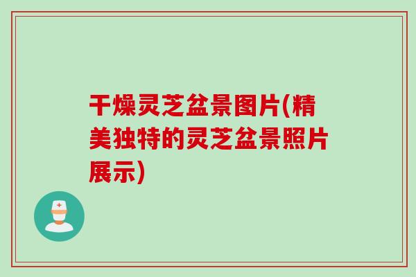 干燥灵芝盆景图片(精美独特的灵芝盆景照片展示)