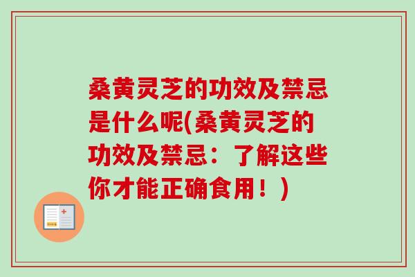 桑黄灵芝的功效及禁忌是什么呢(桑黄灵芝的功效及禁忌：了解这些你才能正确食用！)