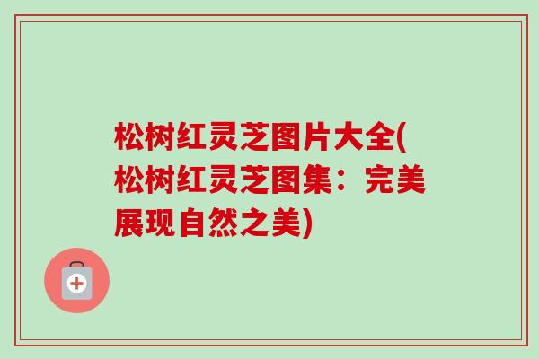 松树红灵芝图片大全(松树红灵芝图集：完美展现自然之美)