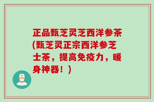 正品甄芝灵芝西洋参茶(甄芝灵正宗西洋参芝士茶，提高免疫力，暖身神器！)