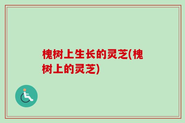 槐树上生长的灵芝(槐树上的灵芝)