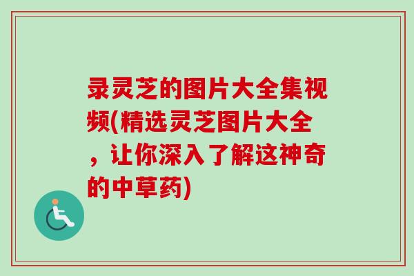 录灵芝的图片大全集视频(精选灵芝图片大全，让你深入了解这神奇的中草药)
