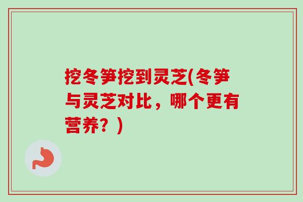 挖冬笋挖到灵芝(冬笋与灵芝对比，哪个更有营养？)