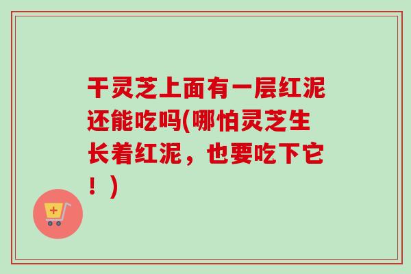 干灵芝上面有一层红泥还能吃吗(哪怕灵芝生长着红泥，也要吃下它！)