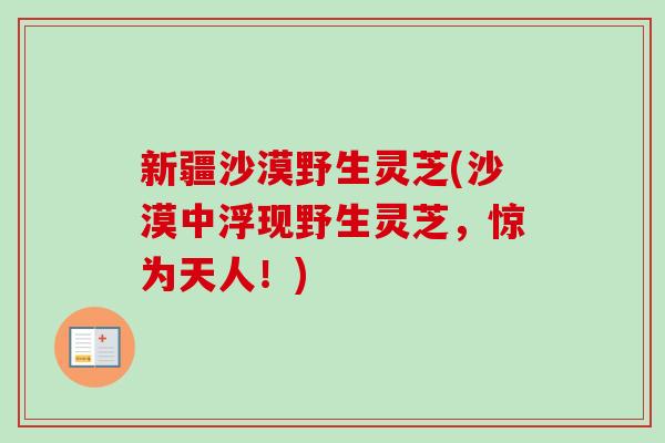新疆沙漠野生灵芝(沙漠中浮现野生灵芝,惊为天人!) 新疆沙漠野生灵芝(沙漠中浮现野生灵芝,惊为天人!)