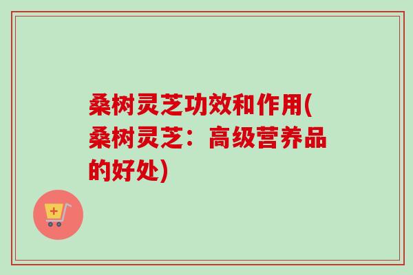 桑树灵芝功效和作用(桑树灵芝：高级营养品的好处)