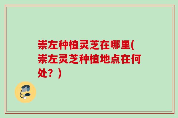 崇左种植灵芝在哪里(崇左灵芝种植地点在何处？)