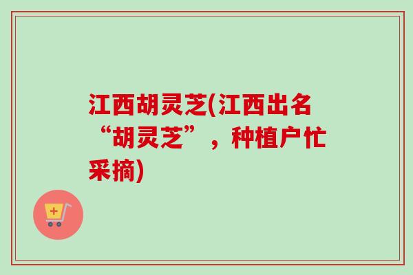 江西胡灵芝(江西出名“胡灵芝”，种植户忙采摘)