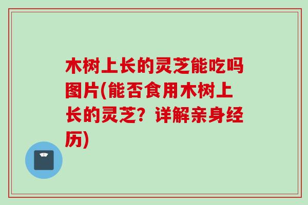 木树上长的灵芝能吃吗图片(能否食用木树上长的灵芝？详解亲身经历)