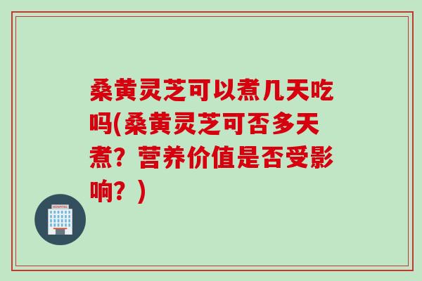 桑黄灵芝可以煮几天吃吗(桑黄灵芝可否多天煮?营养价值是否受影响?) 桑黄灵芝可以煮几天吃吗(桑黄灵芝可否多天煮?营养价值是否受影响?)