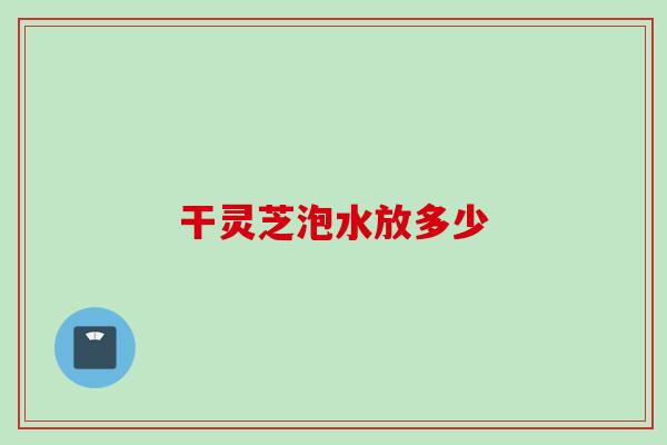 干灵芝泡水放多少