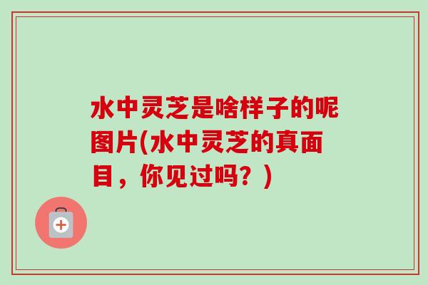 水中灵芝是啥样子的呢图片(水中灵芝的真面目，你见过吗？)