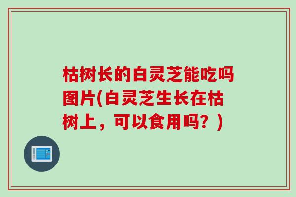 枯树长的白灵芝能吃吗图片(白灵芝生长在枯树上，可以食用吗？)