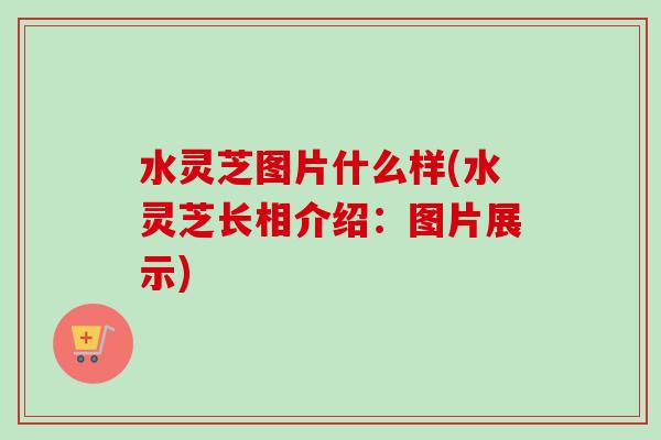 水灵芝图片什么样(水灵芝长相介绍：图片展示)