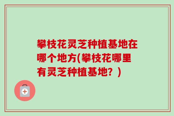 攀枝花灵芝种植基地在哪个地方(攀枝花哪里有灵芝种植基地？)