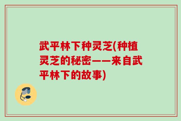 武平林下种灵芝(种植灵芝的秘密——来自武平林下的故事) 武平林下种灵芝(种植灵芝的秘密——来自武平林下的故事)
