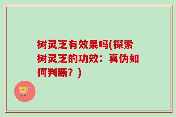 树灵芝有效果吗(探索树灵芝的功效：真伪如何判断？)