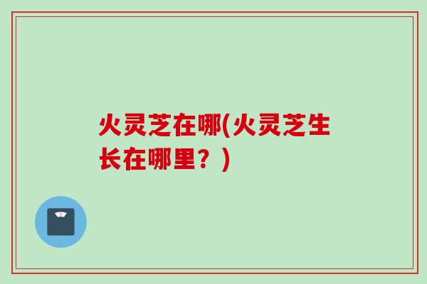 火灵芝在哪(火灵芝生长在哪里?) 火灵芝在哪(火灵芝生长在哪里?)