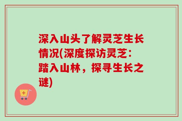 深入山头了解灵芝生长情况(深度探访灵芝：踏入山林，探寻生长之谜)