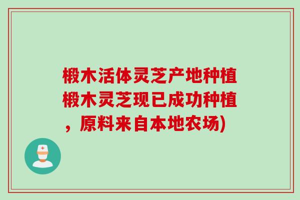 椴木活体灵芝产地种植椴木灵芝现已成功种植，原料来自本地农场)