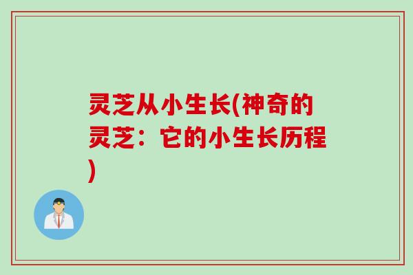 灵芝从小生长(神奇的灵芝：它的小生长历程)