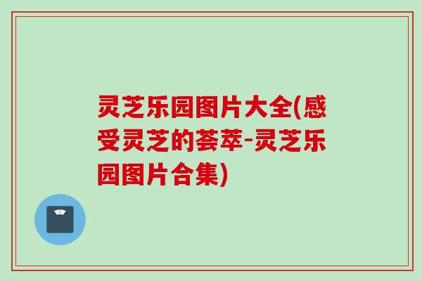 灵芝乐园图片大全(感受灵芝的荟萃-灵芝乐园图片合集)