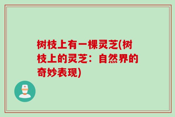 树枝上有一棵灵芝(树枝上的灵芝：自然界的奇妙表现)