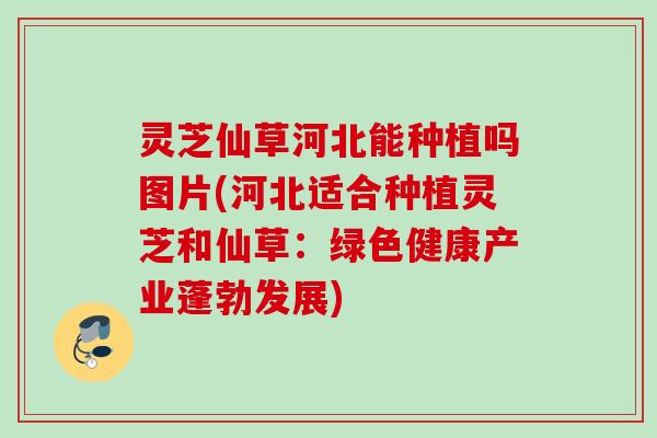 灵芝仙草河北能种植吗图片(河北适合种植灵芝和仙草：绿色健康产业蓬勃发展)