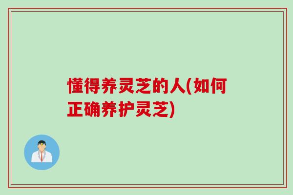 懂得养灵芝的人(如何正确养护灵芝)