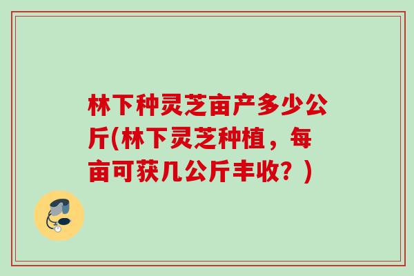 林下种灵芝亩产多少公斤(林下灵芝种植,每亩可获几公斤丰收?) 林下种灵芝亩产多少公斤(林下灵芝种植,每亩可获几公斤丰收?)
