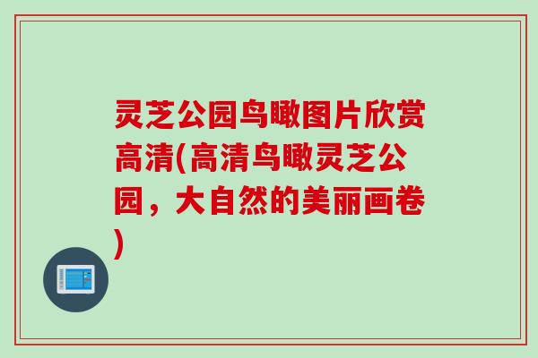 灵芝公园鸟瞰图片欣赏高清(高清鸟瞰灵芝公园，大自然的美丽画卷)