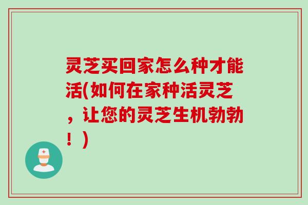 灵芝买回家怎么种才能活(如何在家种活灵芝，让您的灵芝生机勃勃！)