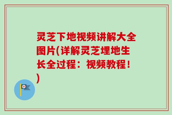 灵芝下地视频讲解大全图片(详解灵芝埋地生长全过程：视频教程！)