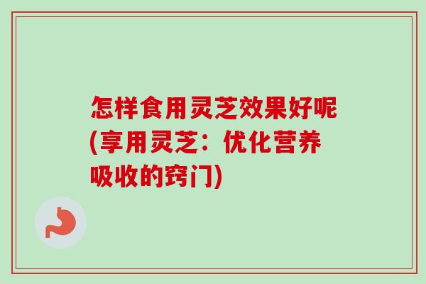 怎样食用灵芝效果好呢(享用灵芝：优化营养吸收的窍门)