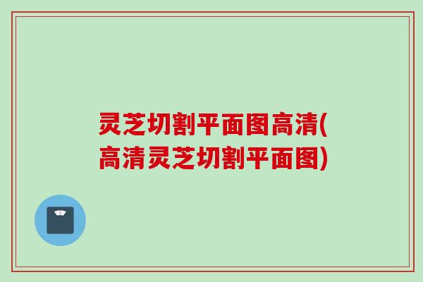 灵芝切割平面图高清(高清灵芝切割平面图)