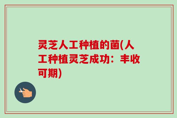 灵芝人工种植的菌(人工种植灵芝成功：丰收可期)