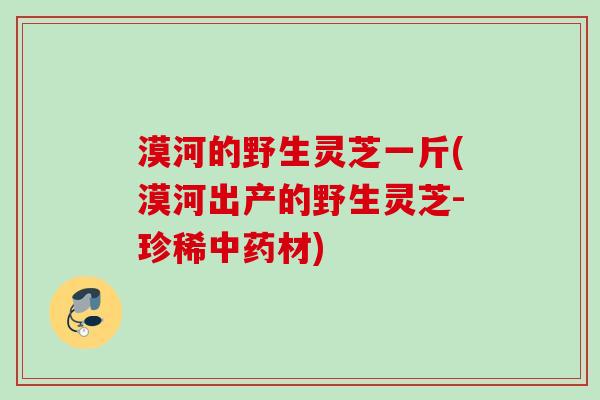 漠河的野生灵芝一斤(漠河出产的野生灵芝-珍稀中药材)
