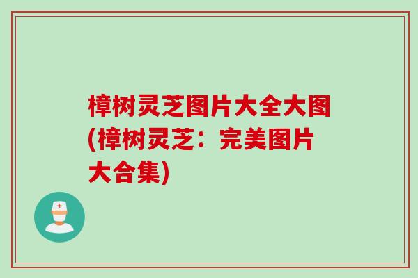 樟树灵芝图片大全大图(樟树灵芝：完美图片大合集)