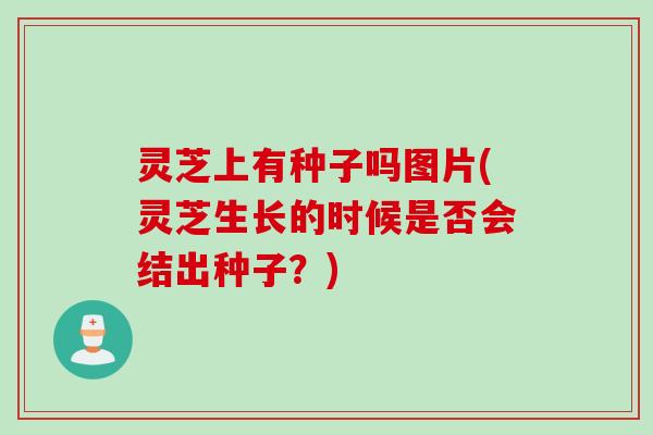 灵芝上有种子吗图片(灵芝生长的时候是否会结出种子？)
