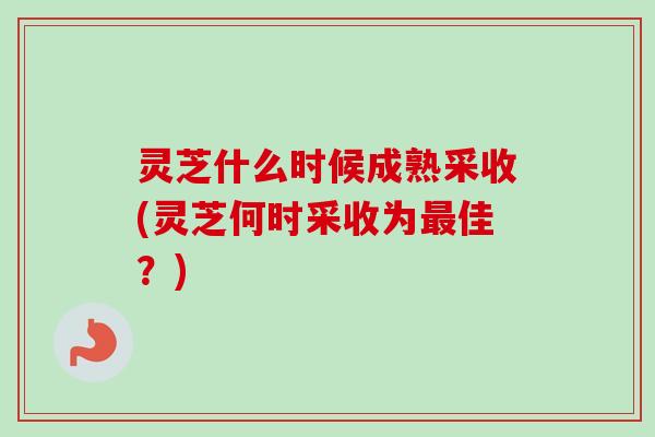 灵芝什么时候成熟采收(灵芝何时采收为最佳？)