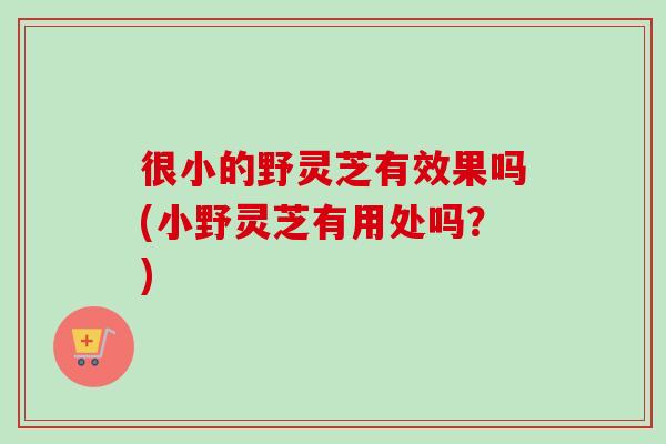 很小的野灵芝有效果吗(小野灵芝有用处吗？)