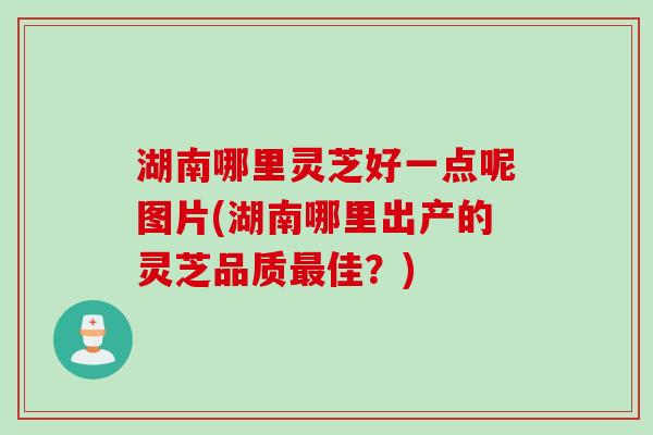 湖南哪里灵芝好一点呢图片(湖南哪里出产的灵芝品质最佳？)
