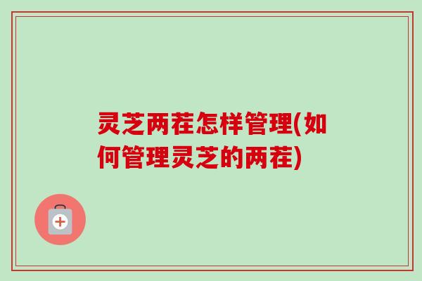 灵芝两茬怎样管理(如何管理灵芝的两茬)