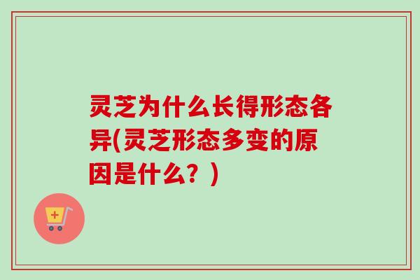 灵芝为什么长得形态各异(灵芝形态多变的原因是什么？)