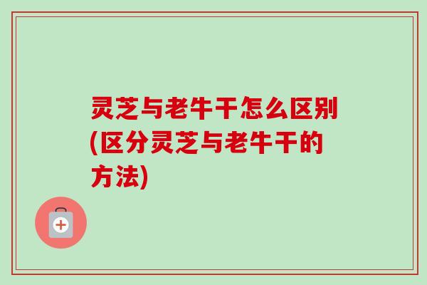 灵芝与老牛干怎么区别(区分灵芝与老牛干的方法)