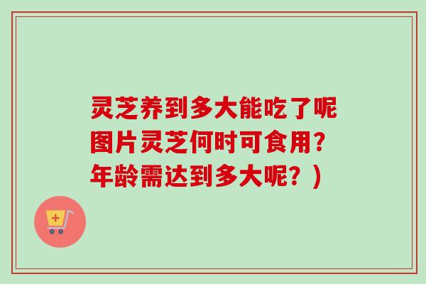 灵芝养到多大能吃了呢图片灵芝何时可食用？年龄需达到多大呢？)