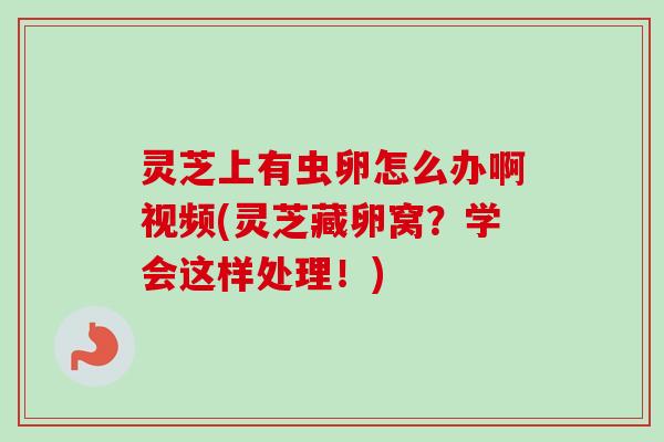 灵芝上有虫卵怎么办啊视频(灵芝藏卵窝？学会这样处理！)