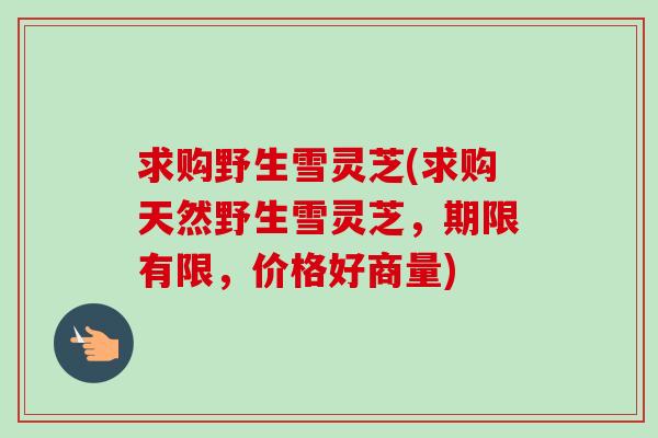 求购野生雪灵芝(求购天然野生雪灵芝,期限有限,价格好商量) 求购野生雪灵芝(求购天然野生雪灵芝,期限有限,价格好商量)